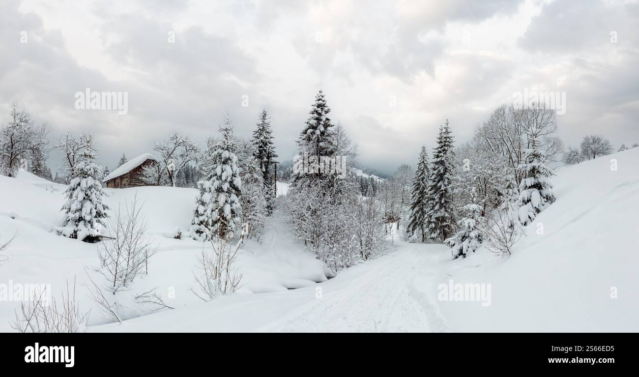 Casa in legno, strada rurale e alberi innevati sul pendio invernale dei Carpazi ucraini con il tempo nuvoloso. Foto Stock
