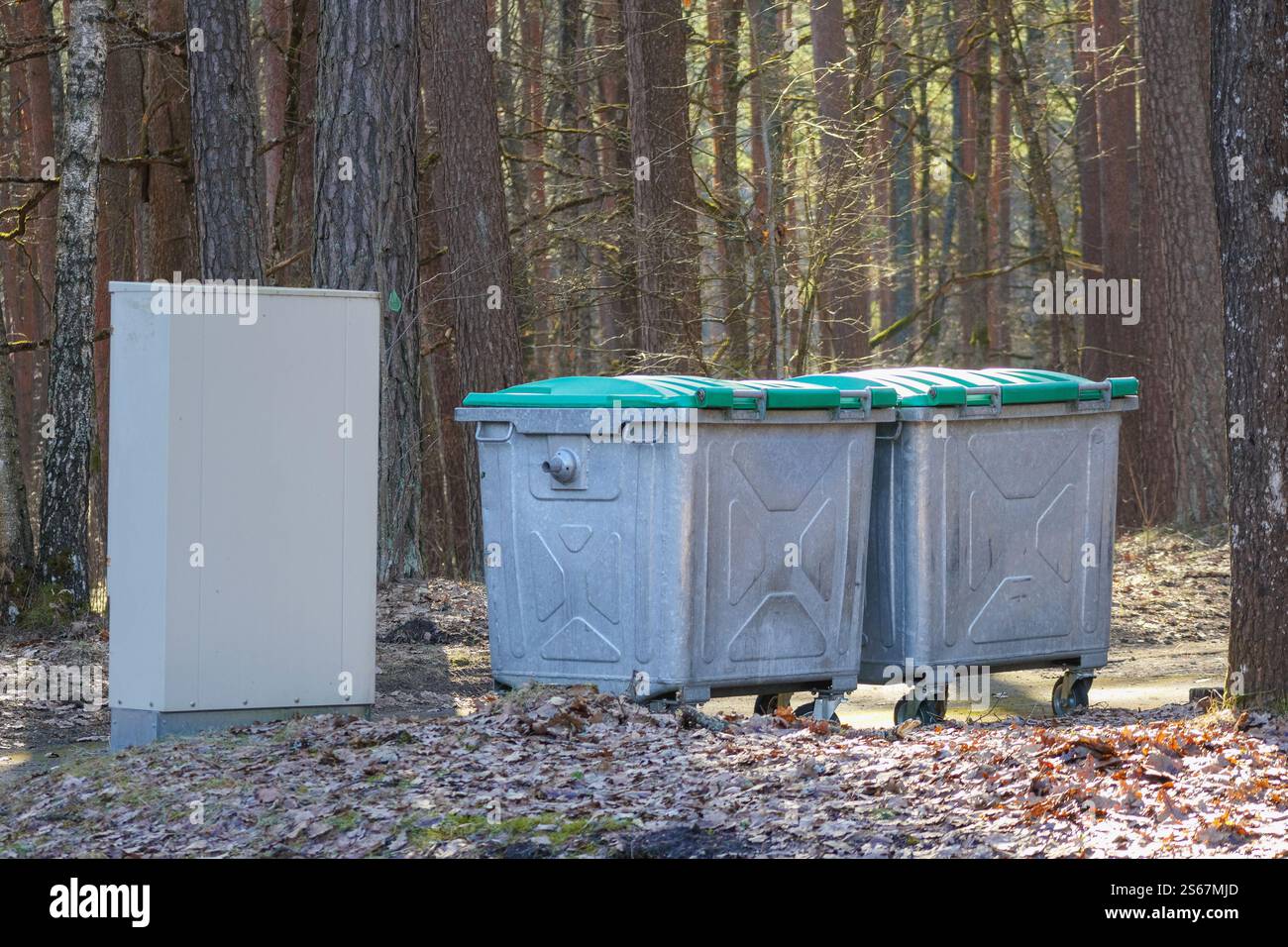 un grande contenitore grigio per rifiuti con coperchio verde posizionato su un percorso forestale vicino agli alberi. Foto Stock