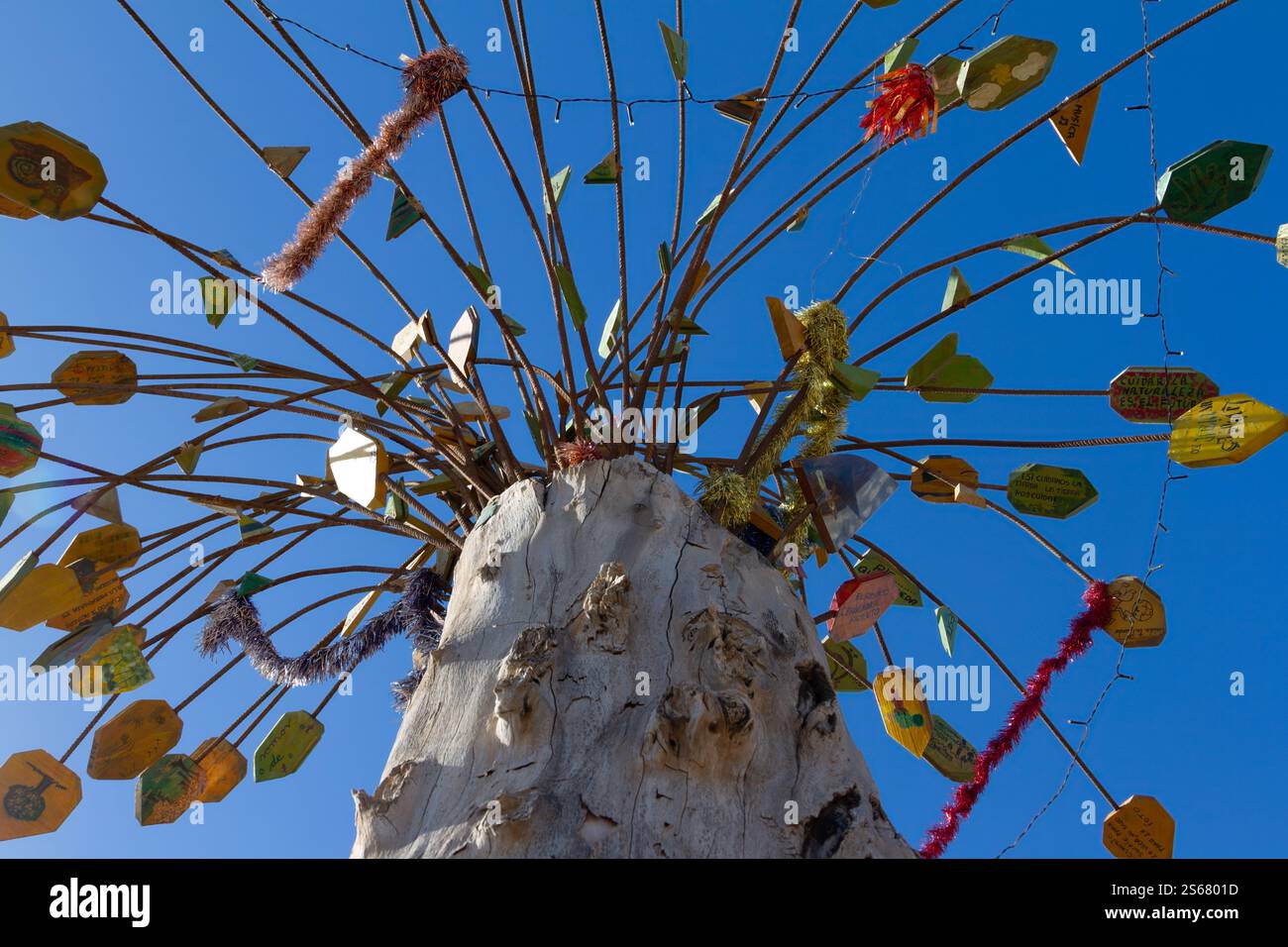 Primo piano di una scultura artistica ad albero realizzata con materiali riciclati dagli studenti, che mostra creatività e consapevolezza ambientale. Foto Stock