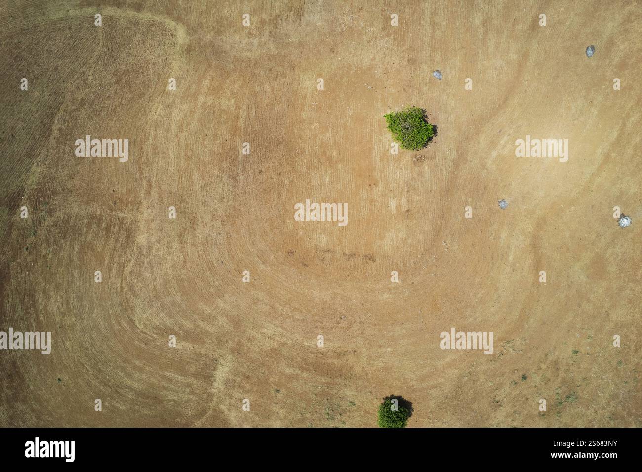 Terreno arato pulito con alberi verdi e erba bruciata vista aerea dei droni Foto Stock