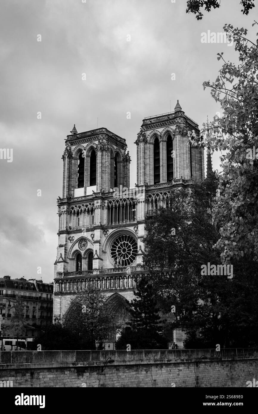 La cattedrale di Notre Dame, Paris, Francia Foto Stock