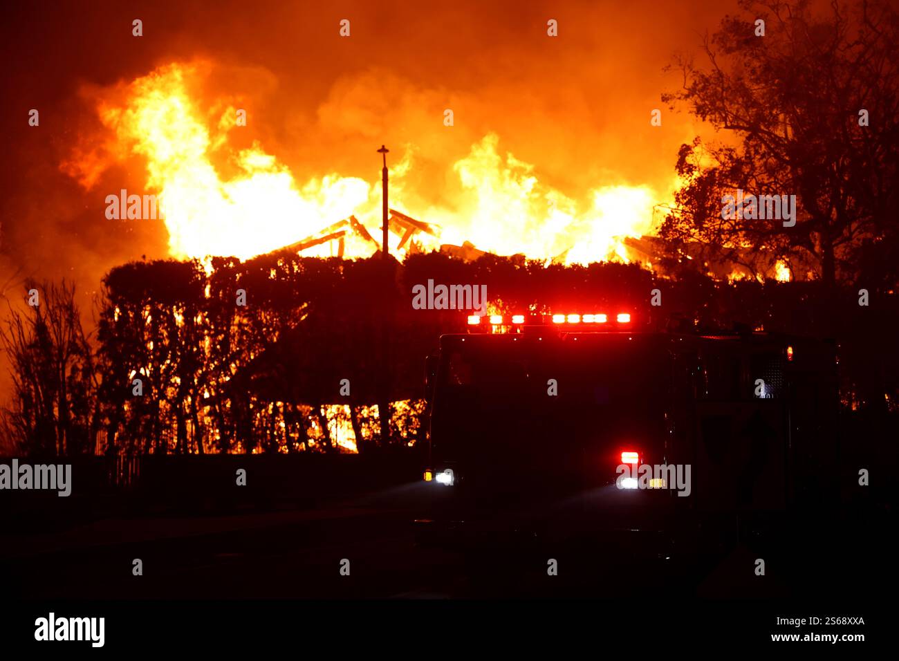 PACIFIC PALISADES, LOS ANGELES, CALIFORNIA, Stati Uniti - 8 gennaio 2025 - Un albero di palma brucia nella zona di Pacific Palisades in California come abete selvatico divorante Foto Stock