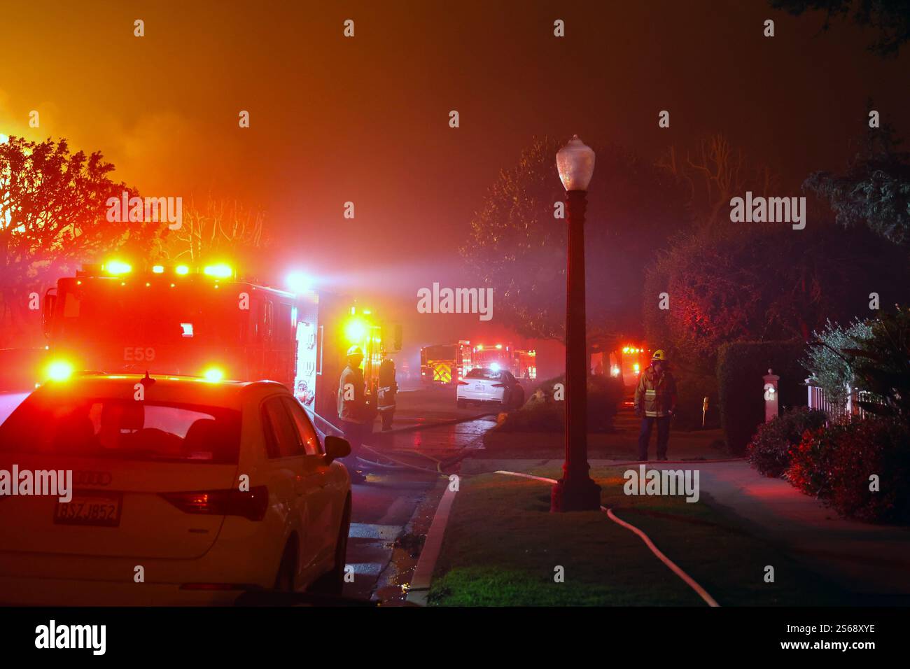 PACIFIC PALISADES, LOS ANGELES, CALIFORNIA, Stati Uniti - 8 gennaio 2025 - Un albero di palma brucia nella zona di Pacific Palisades in California come abete selvatico divorante Foto Stock