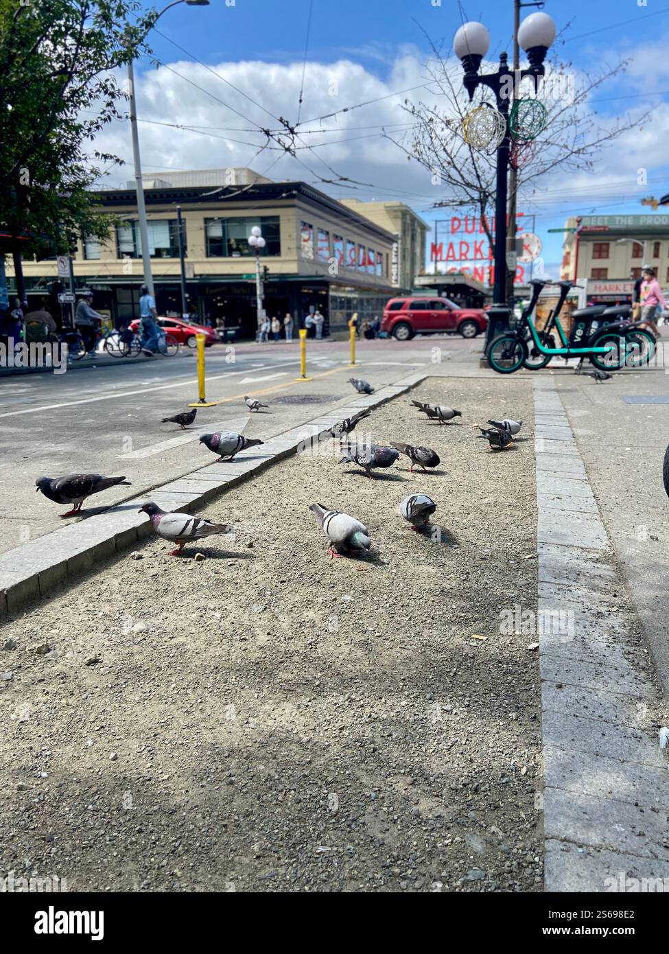 Piccioni nel centro di Seattle - Immagine stock catturata con smartphone