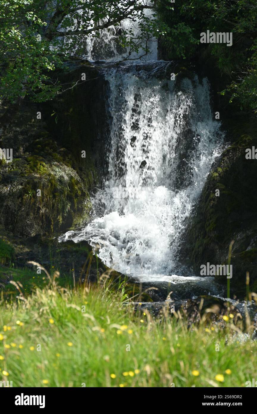 Cascata nella riserva naturale inverpolly di Assynt, Highlands scozzesi luglio Foto Stock