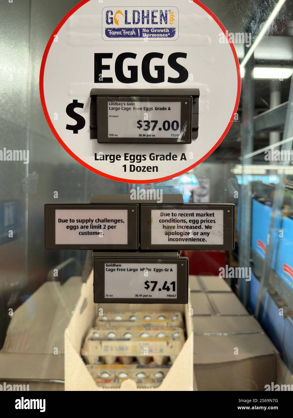 Los Angeles, California, Stati Uniti d'America - 12 gennaio 2025: Le uova di marca Goldhen sono esposte al prezzo di 7,41 USD per dozzina (e 37 $ per un cartone da 60 conteggi) in un negozio di alimentari. - Immagine stock catturata con smartphone