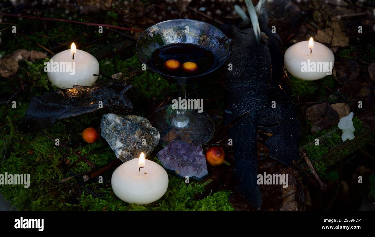 Un bicchiere di vino rosso, candele, frutti di bosco su uno sfondo muscoloso. Foto Stock