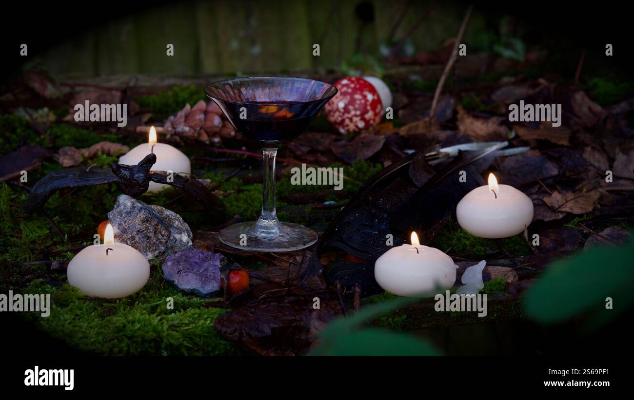 Un bicchiere di vino rosso, candele, frutti di bosco su uno sfondo muscoloso. Foto Stock