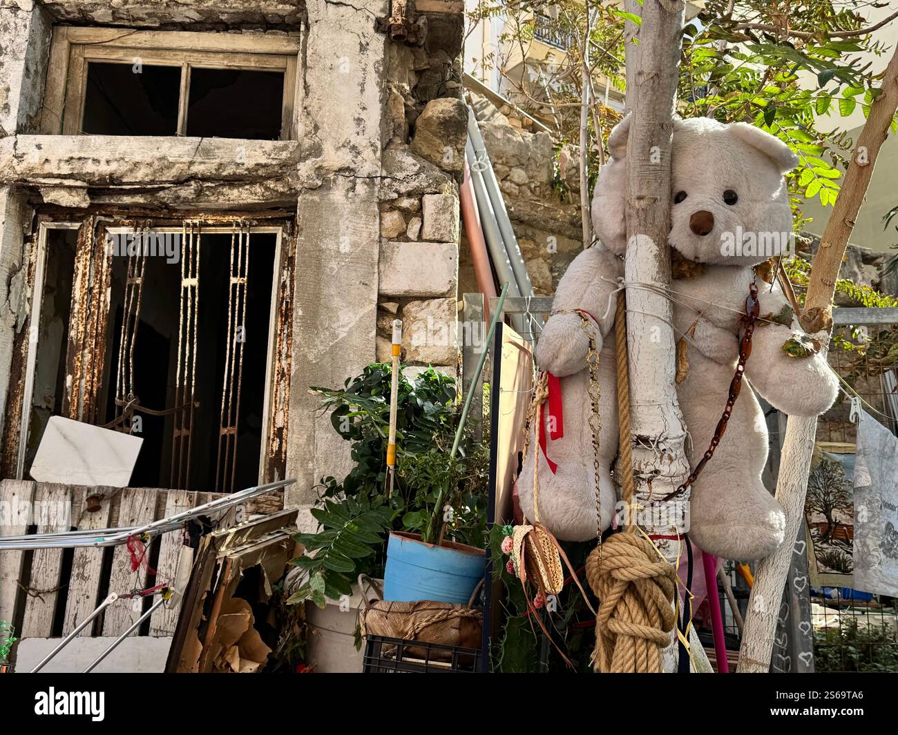 Contraddizioni: Abbandono e giocosità, vita passata e innocenza - distruzione e nuova vita - Un orso giocattolo in un albero fuori da una casa fatiscente Foto Stock