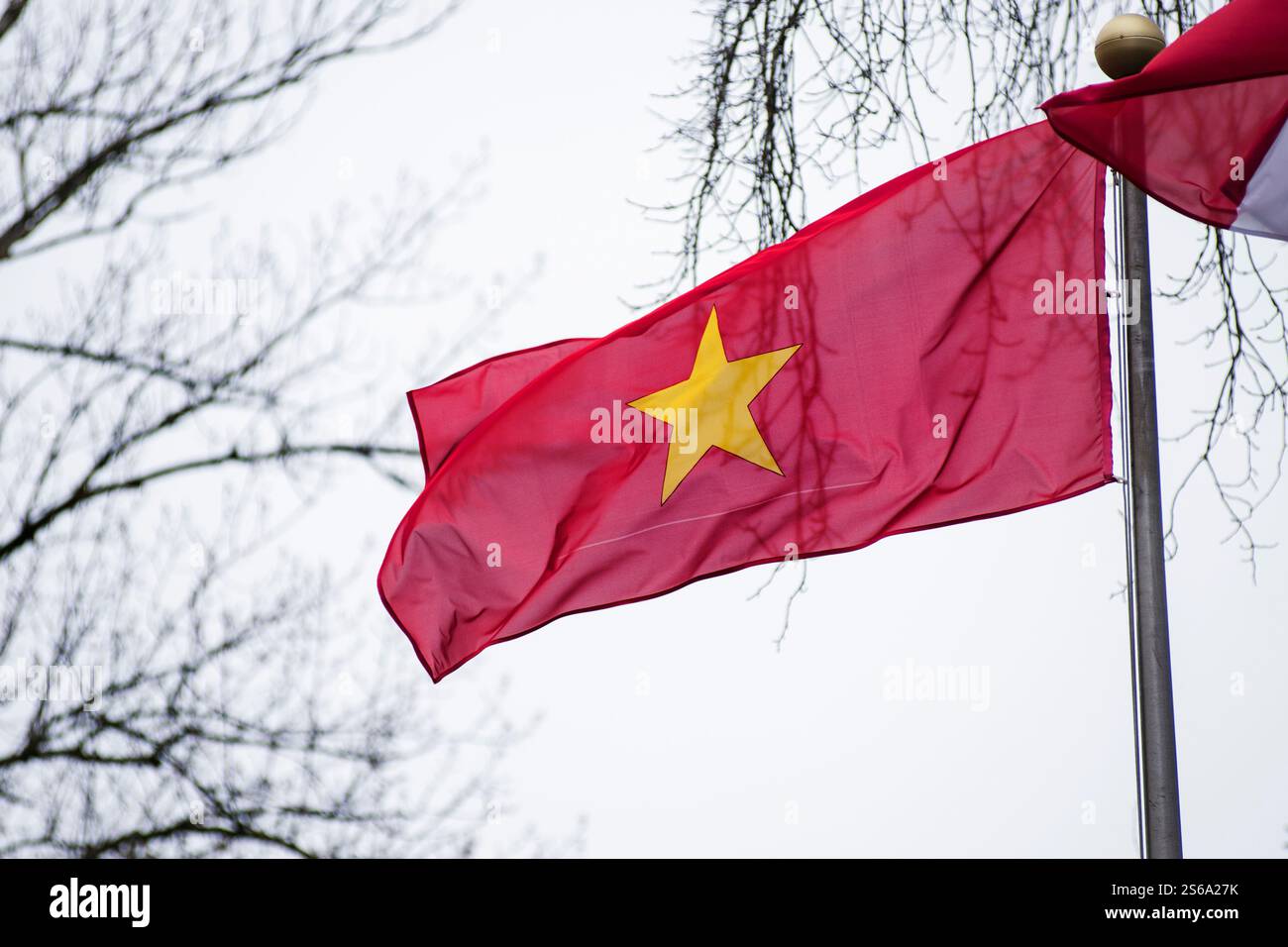 La bandiera vietnamita si vede sventolare fuori dalla Cancelleria del primo Ministro su Ujazdowskie avenue. Il primo ministro della Repubblica socialista del Vietnam ha incontrato il primo ministro Donald Tusk durante la sua visita a Varsavia. I politici hanno discusso le relazioni polacco-vietnamite, compresa la cooperazione economica. Il Vietnam è il più grande partner commerciale della Polonia tra i paesi del sud-est asiatico. Anche la sicurezza internazionale è stata un argomento importante, soprattutto la guerra in Ucraina. La visita del primo ministro del Vietnam si svolge nel 75° anniversario dell'instaurazione di relazioni diplomatiche tra Polonia e vie Foto Stock