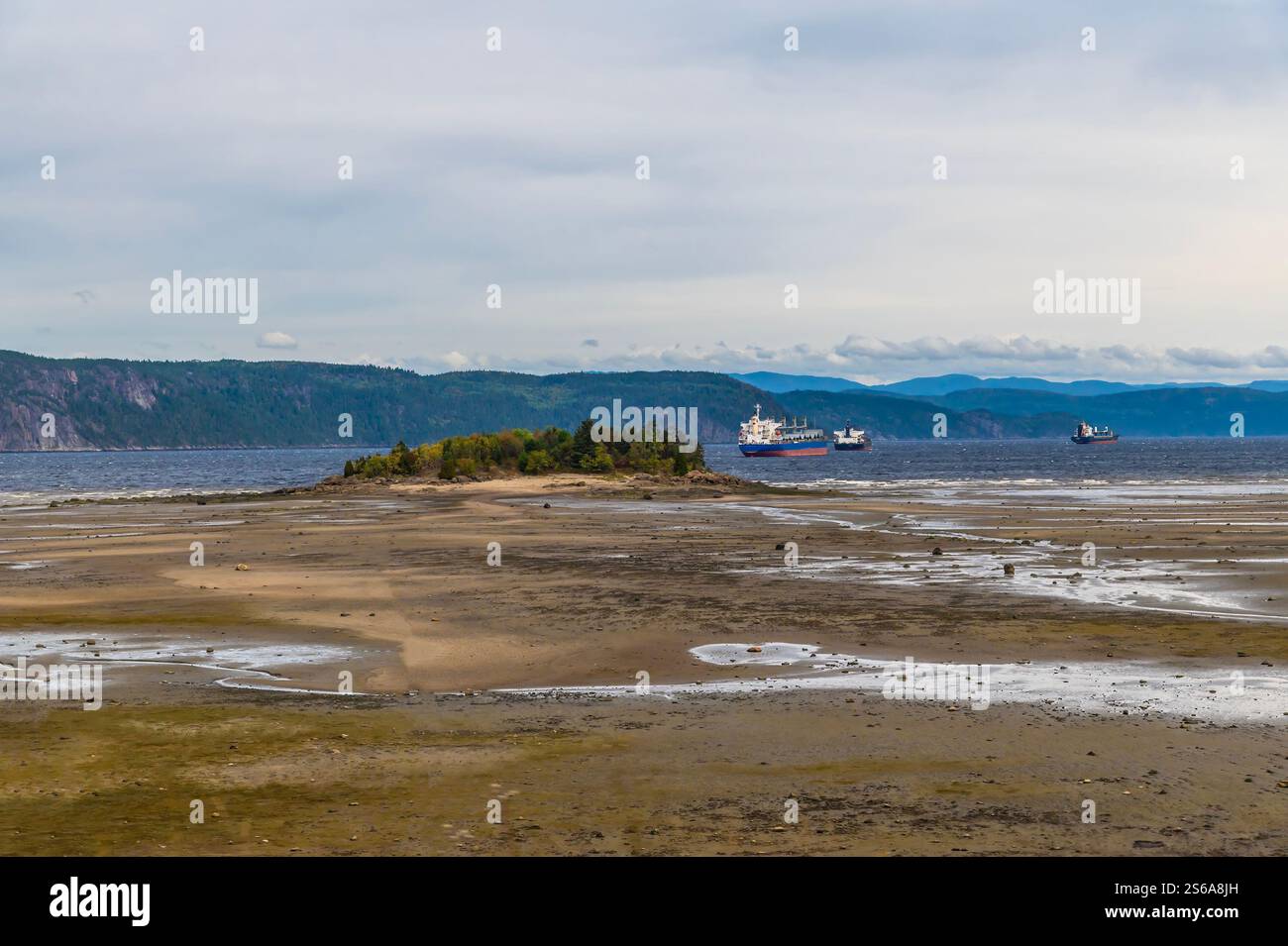 Una vista sulla baia con la bassa marea a Saguenay, Quebec in Canada in autunno Foto Stock