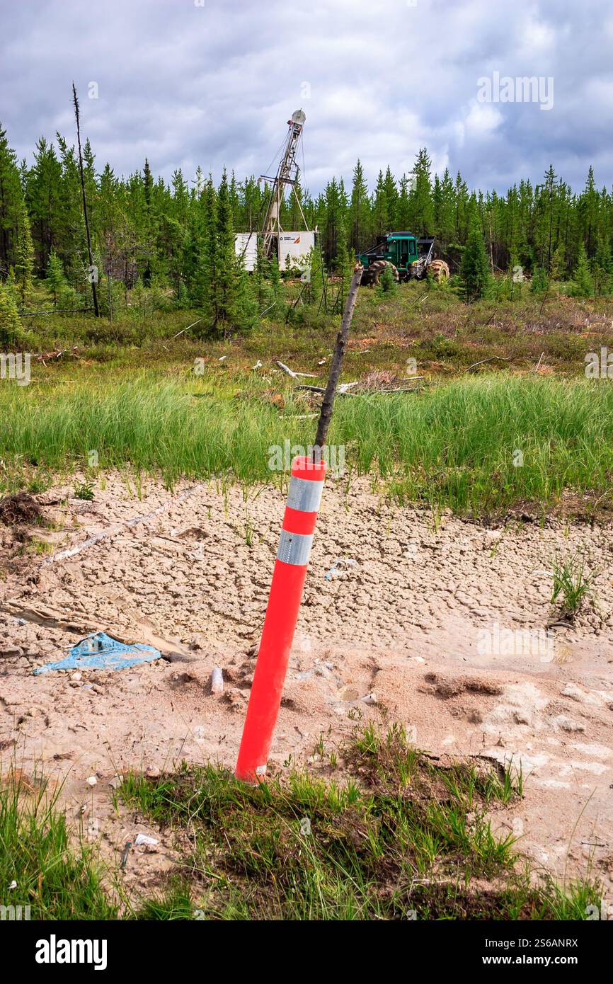 Un palo rosso con una striscia bianca è in piedi in un campo. Il palo è circondato da erba e sporcizia Foto Stock
