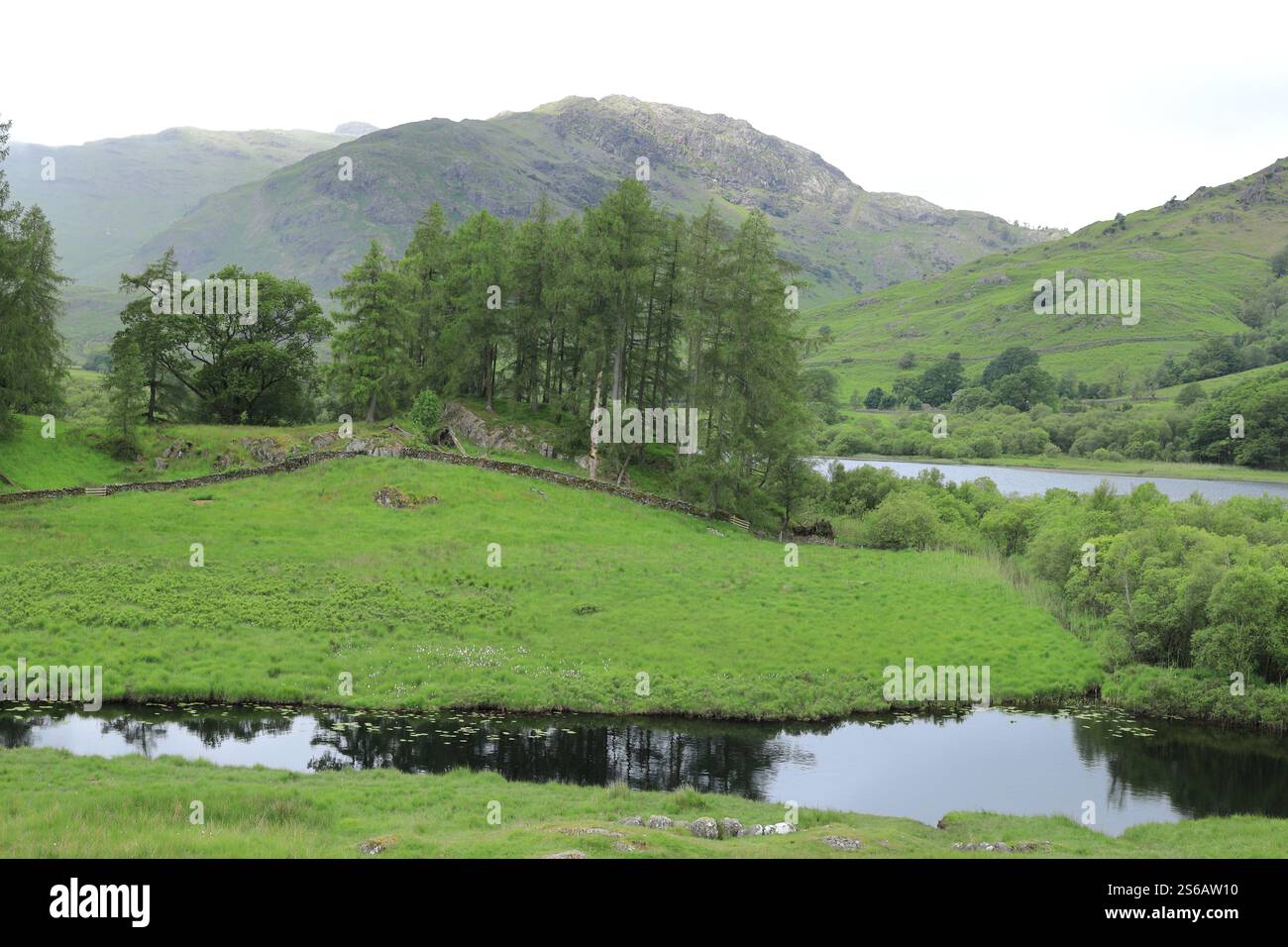 Little Langdale Tarn e il fiume Brathay guardavano dal sentiero a Little Langdale, Lake District, Cumbria, Regno Unito, in un giorno nebbioso d'estate Foto Stock