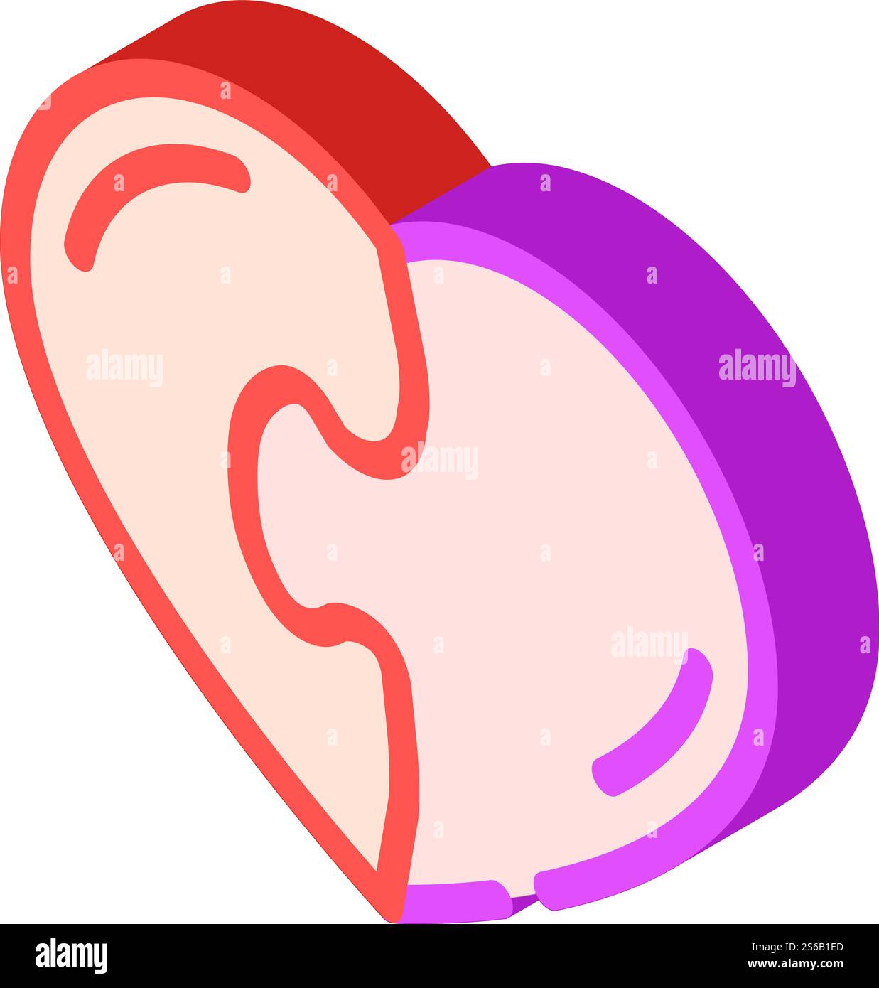 il cuore ha trovato un vettore di icone isometriche anima gemella. il cuore ha trovato il segno dell'anima gemella. illustrazione del simbolo isolato. immagine vettoriale dell'icona isometrica di heart found soul mate Illustrazione Vettoriale