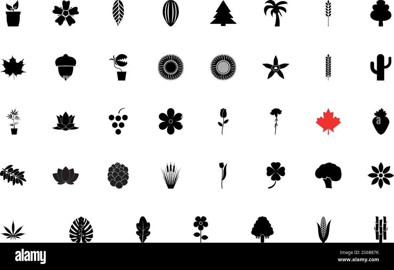 Illustrazione vettoriale stile solido con set di colori neri per piante naturali. Il colore nero delle piante naturali imposta l'immagine in stile solido Illustrazione Vettoriale