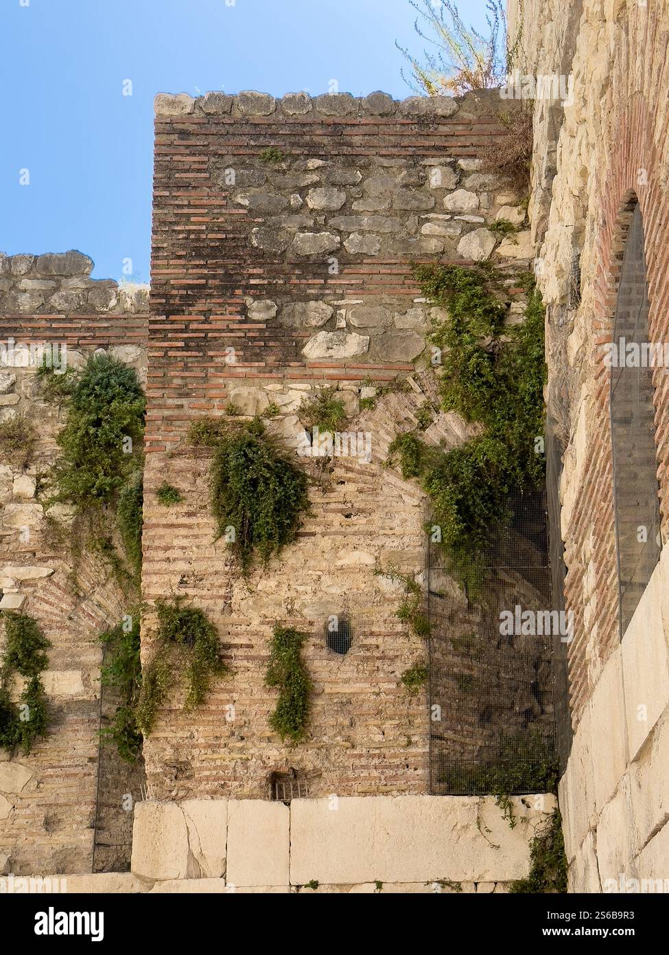 Spalato, Croazia - 1° luglio 2024: Storiche cantine e Palazzo di Diocleziano. Livelli superiori con piante che crescono in crepe delle pareti sotto il cielo blu Foto Stock Spalato, Croazia - 1° luglio 2024: Storiche cantine e Palazzo di Diocleziano. Livelli superiori con piante che crescono in crepe delle pareti sotto il cielo blu Foto Stock