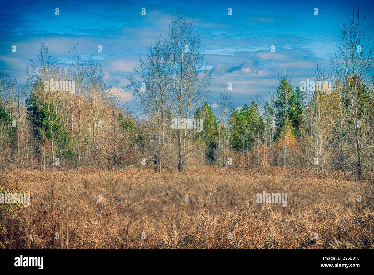 Scene autunnali: Look HDR Foto Stock