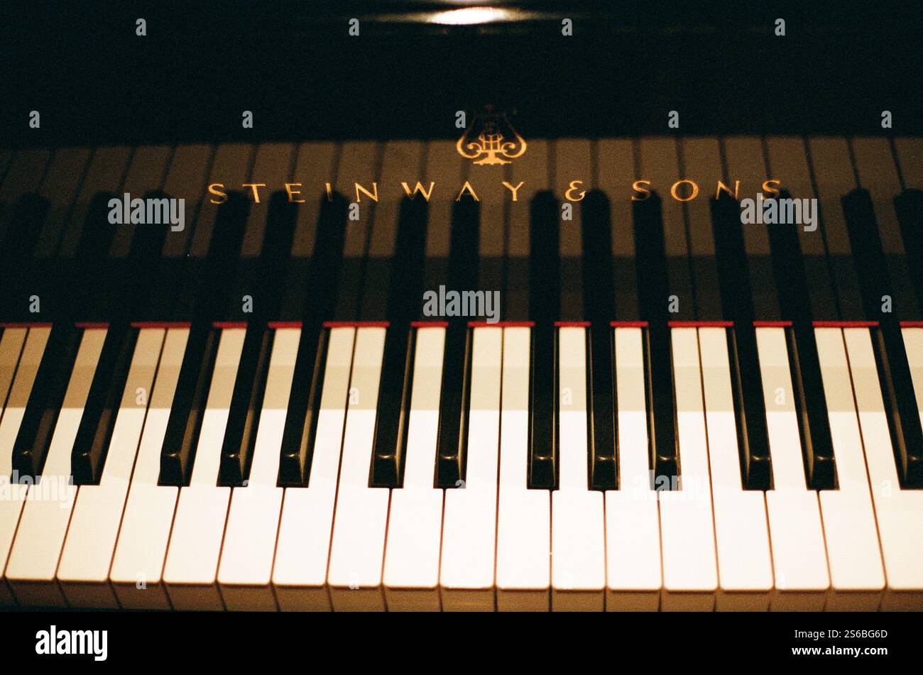 Tastiera di un Grand piano Steinway Foto Stock