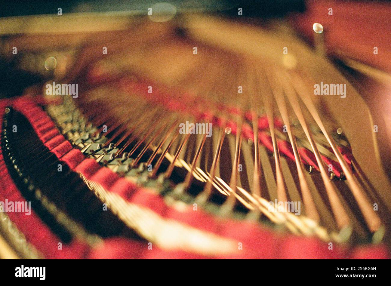 Archi in un Grand piano Steinway Foto Stock