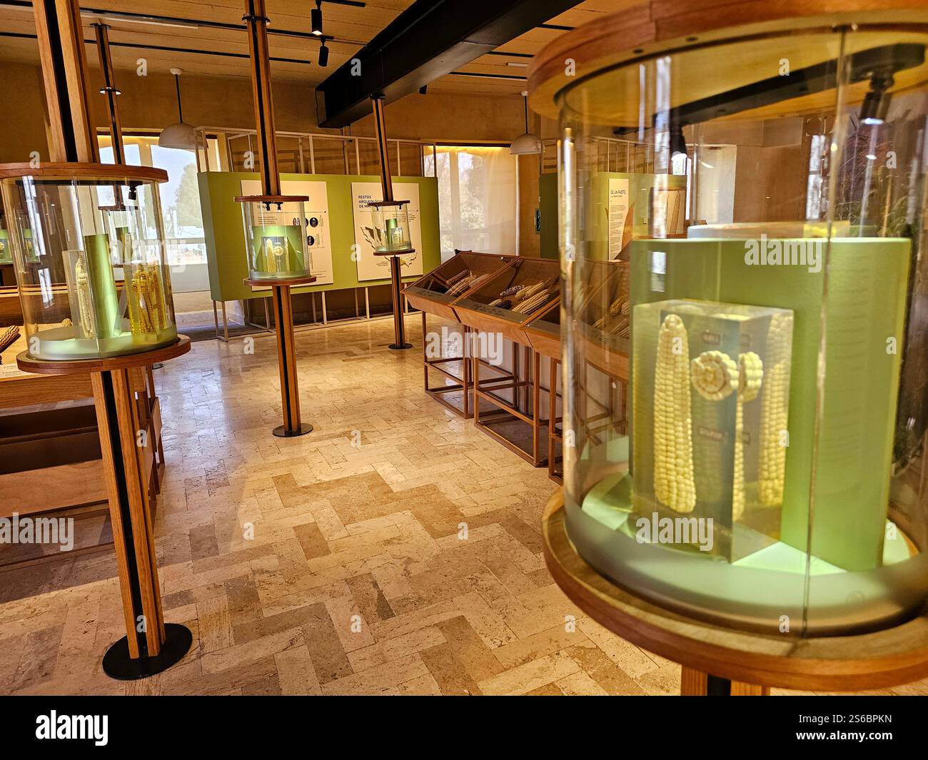 Città del Messico, Messico - 7 febbraio 2024: Cencalli Museum House of Corn and Food Culture dedicato alle culture indigene del Messico e al cibo Foto Stock