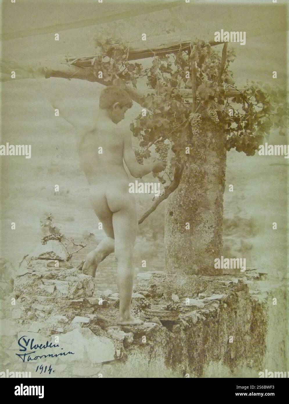 Gloeden, Wilhelm von (1856-1931) - n. 2751 recto - 22 cm x 16,5 cm, dato 1-3-1914 Foto Stock