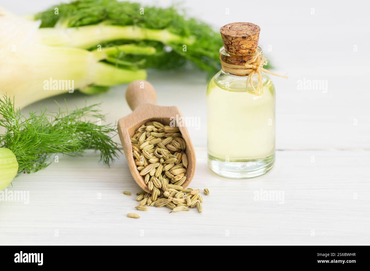 Bottiglia in vetro di olio essenziale di finocchio con semi di finocchio e bulbo su un tavolo di legno. Herbs medicina alternativa concetto di fondo Foto Stock