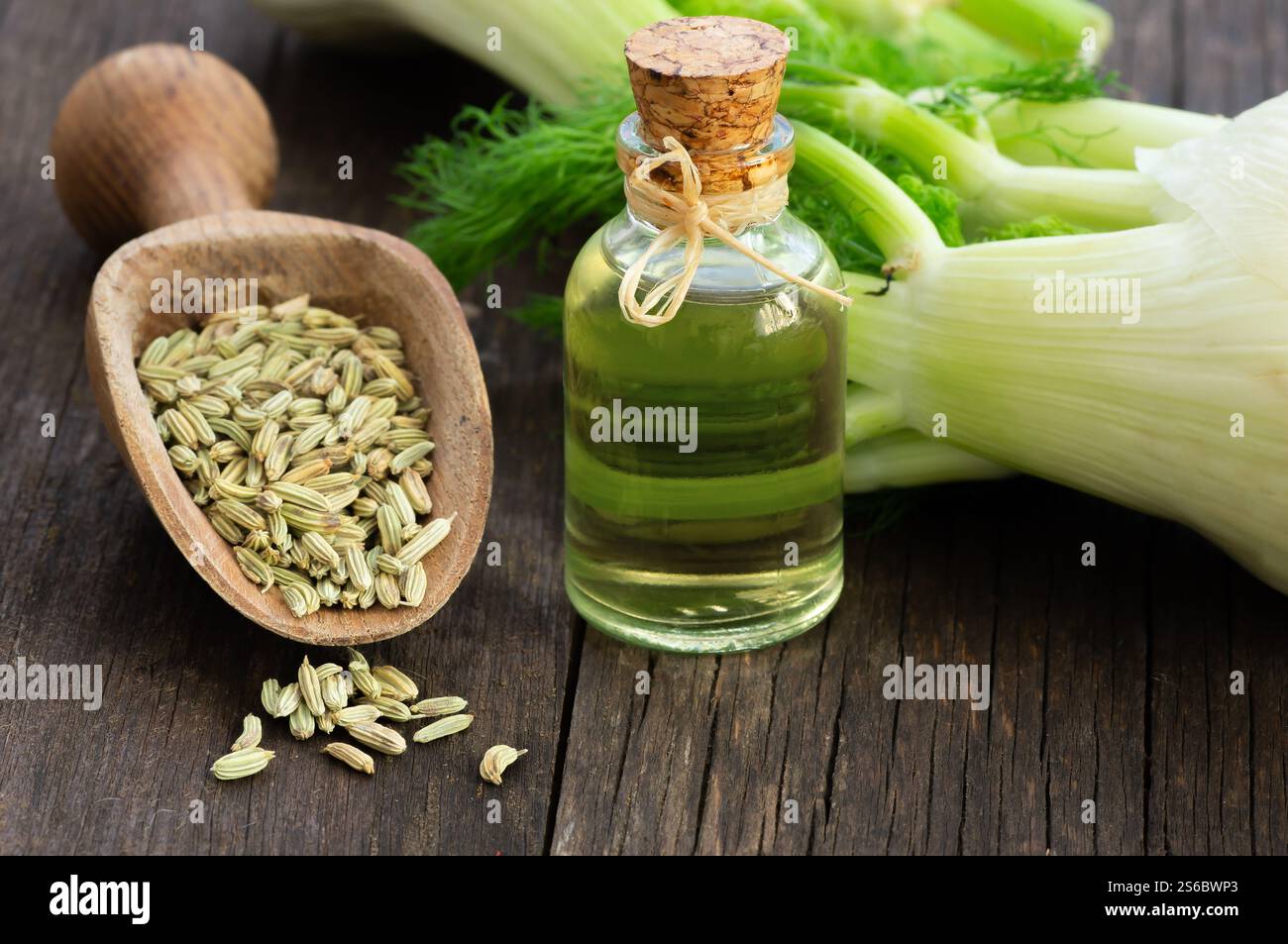 Bottiglia in vetro di olio essenziale di finocchio con semi di finocchio e bulbo su un tavolo di legno. Herbs medicina alternativa concetto di fondo Foto Stock