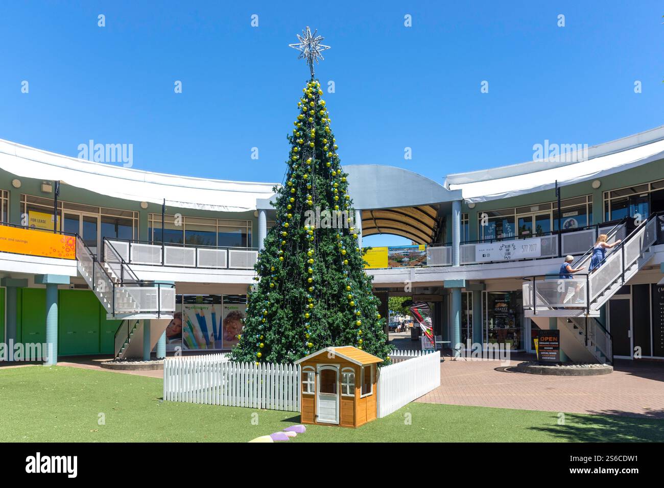 Forum e albero di Natale, mercato, Blenheim (Waiharakeke), regione di Marlborough, Isola del Sud, nuova Zelanda Foto Stock