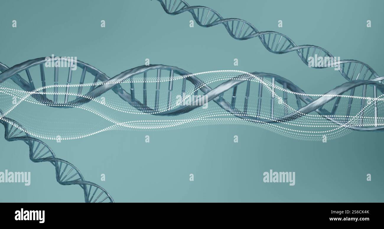 Immagine di diagrammi su filamenti di dna Foto Stock