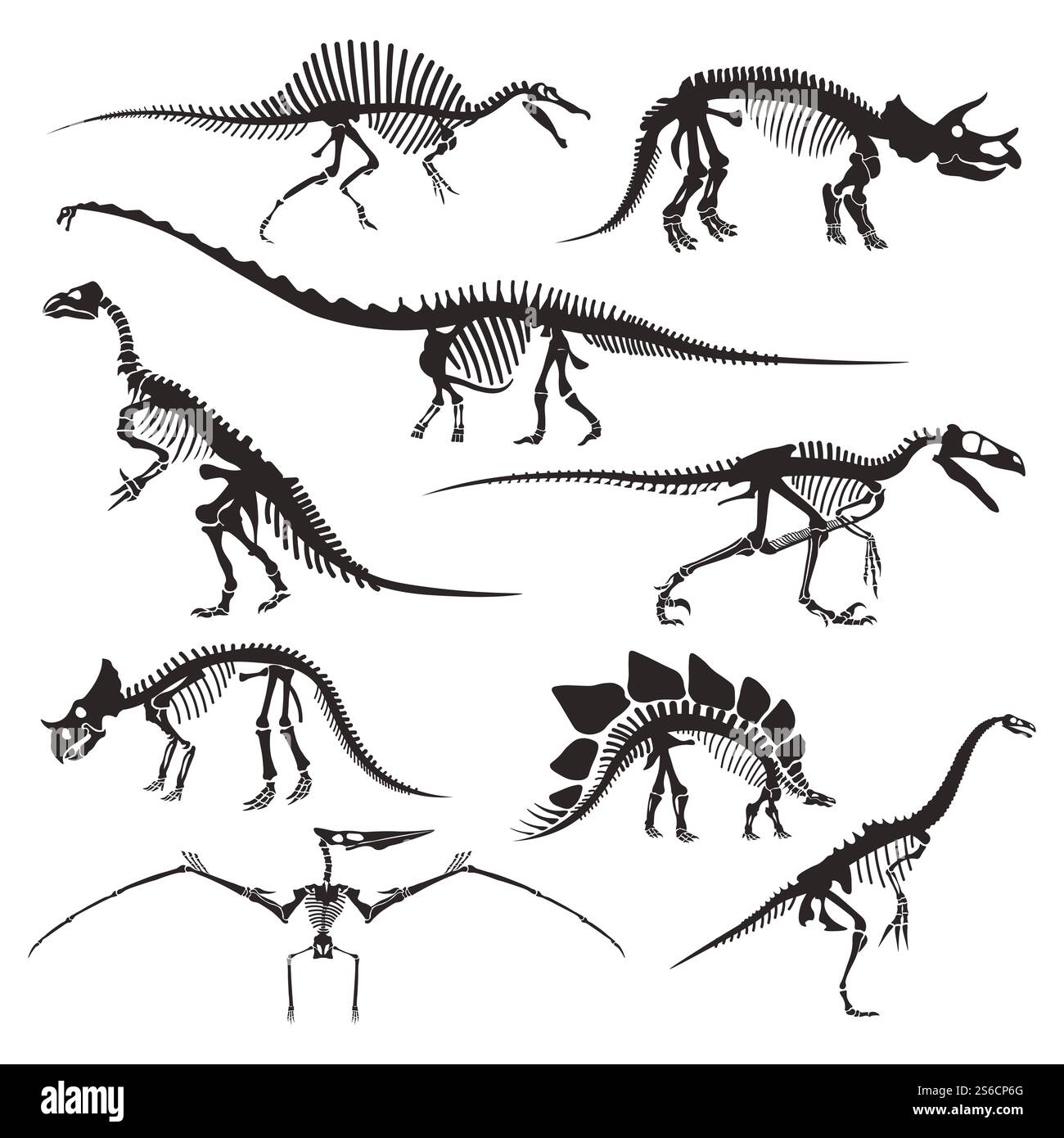 Scheletri di dinosauro icone isolate, animali preistorici ossa vettoriali. Velociraptor e diplodocus, triceratops e tyrannosaurus, pterodattilo e stegosaurus. Spinosaurus e coelophysis, dilophosaurus. Ossa di animali preistorici, scheletri di dinosauro icone isolate Illustrazione Vettoriale