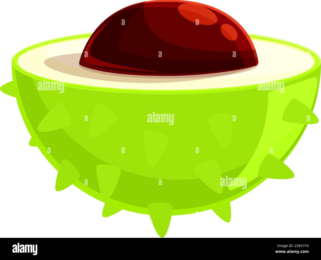 Icona mezza tagliata castagna. Cartoni animati con icona vettoriale a metà tagliata di castagno per il web design isolato su sfondo bianco. Icona a forma di castagno tagliata a metà, stile cartone animato Illustrazione Vettoriale