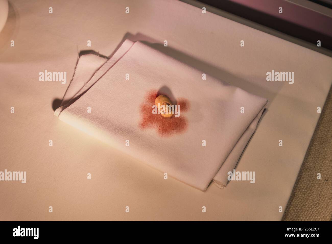 Una replica della punta del dito dell'anello sinistro di Ahn Jung-geun, tagliata per mostrare fedeltà a Danjihoe. Al Museo Ahn Jung-geun Memorial Hall di Seoul, Corea del Sud. Foto Stock