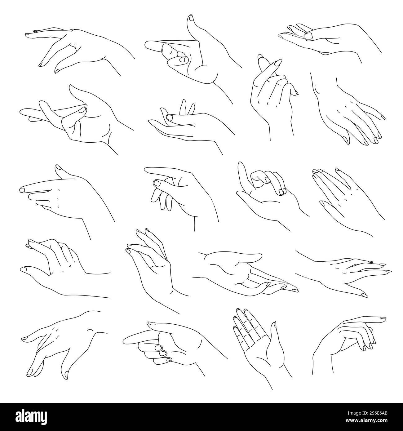 Mani femminili, braccia eleganti con polsi e dita. Parte del corpo di donna isolata, che punta le dita e i gesti. Linguaggio non verbale. Line art di segnali ed espressioni gestuali. Vettore in stile piatto. Mani eleganti e morbide con dita, vettoriali Illustrazione Vettoriale