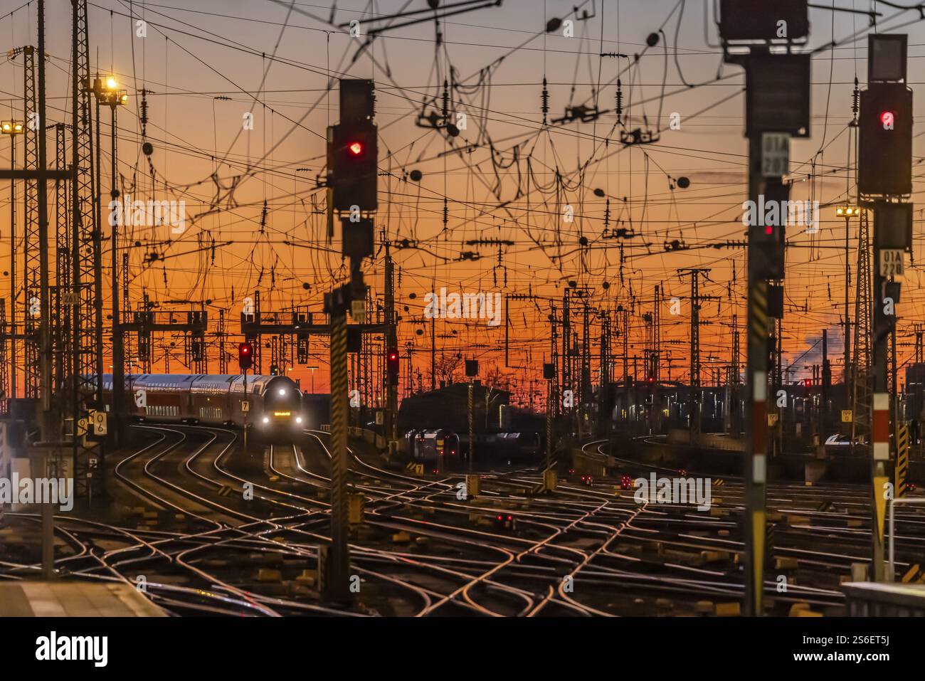 Grembiule con treni, rotaie, punti, piloni e sistemi di segnalazione. Infrastrutture alla stazione centrale. Tramonto. Francoforte sul meno, Assia, Germania, Foto Stock