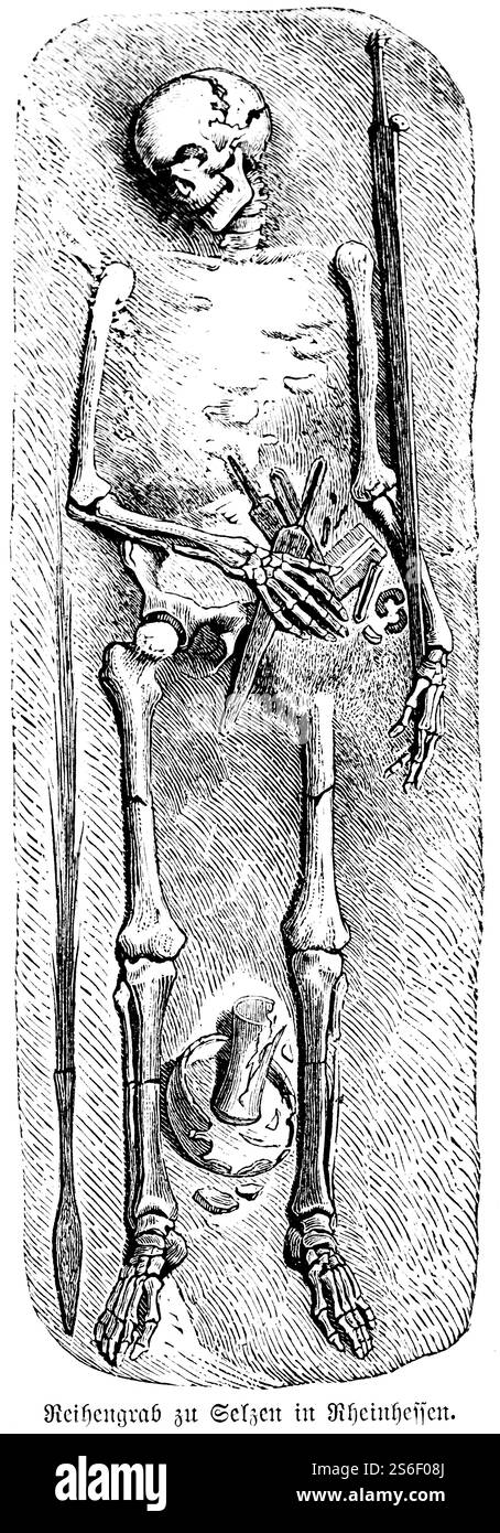 Scheletro completo dal cimitero di Selzen, un cimitero a file del periodo merovingio, tombe, archeologia, regione Reno-Assia, storia di ma Foto Stock