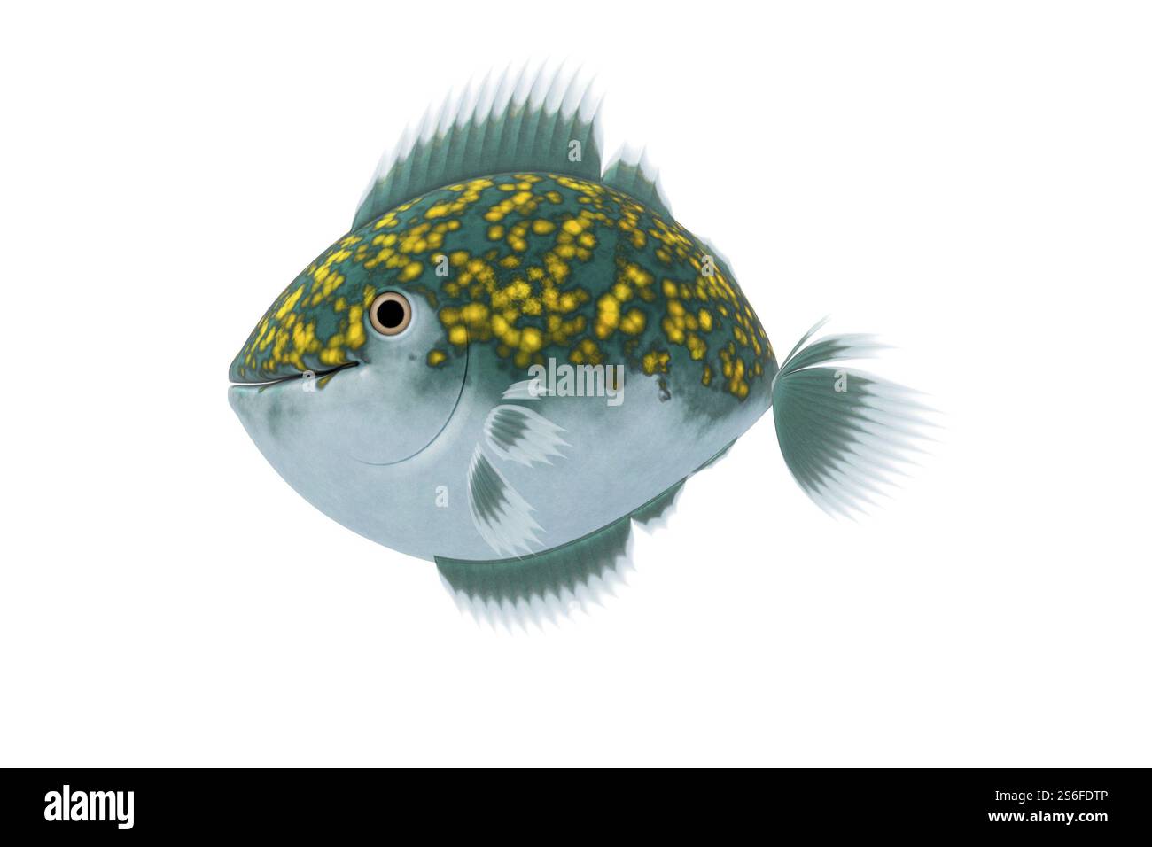 Una immagine di un bel verde i pesci Foto Stock