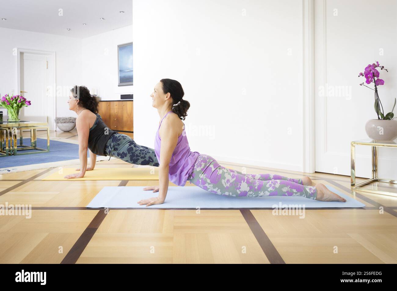 Due donne che fanno yoga a casa guardando verso l'alto il cane posa Foto Stock
