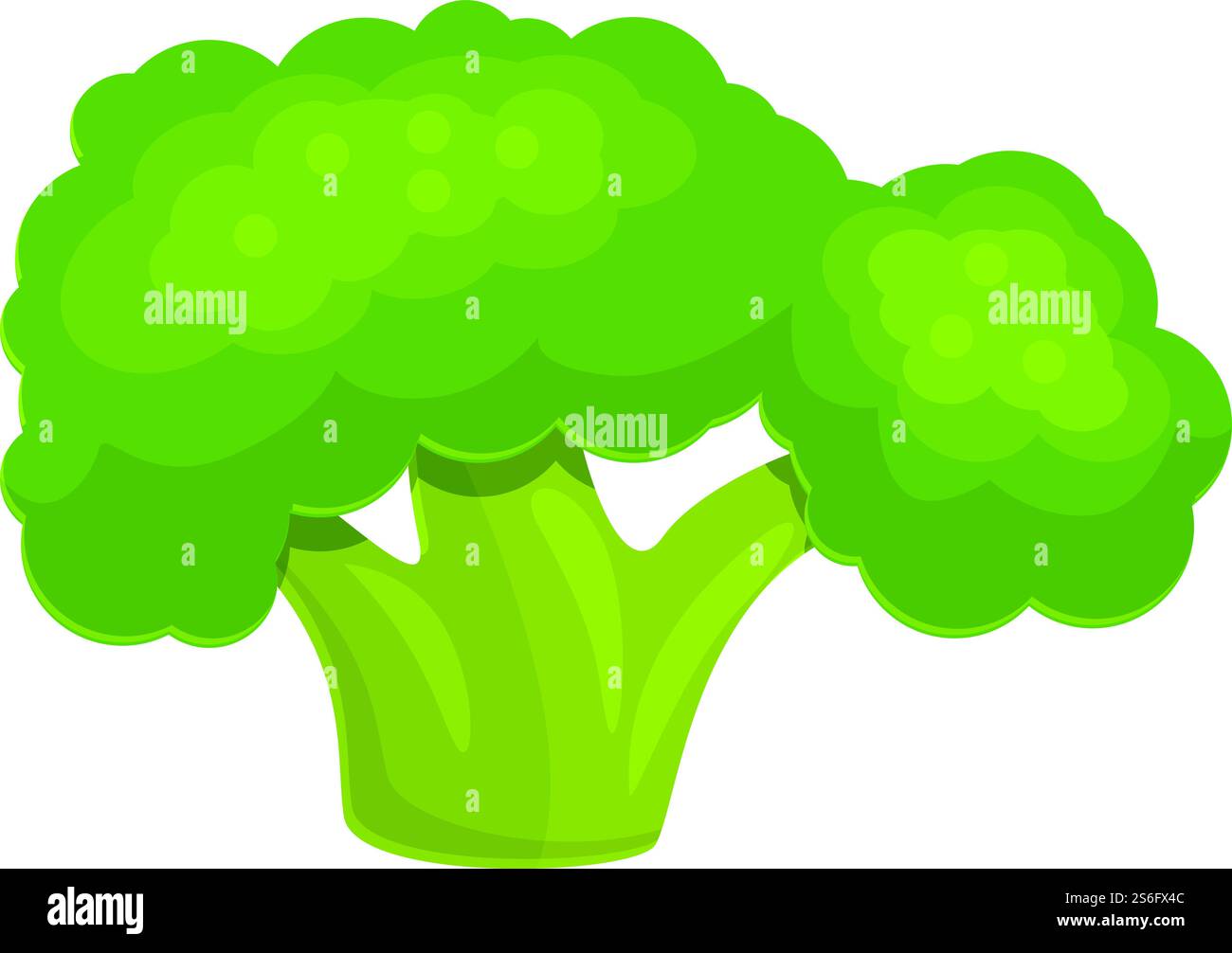 Icona Eco broccoli. Cartone animato dell'icona vettoriale dei broccoli ecologici per il web design isolato su sfondo bianco. Icona Eco broccoli, stile cartone animato Illustrazione Vettoriale