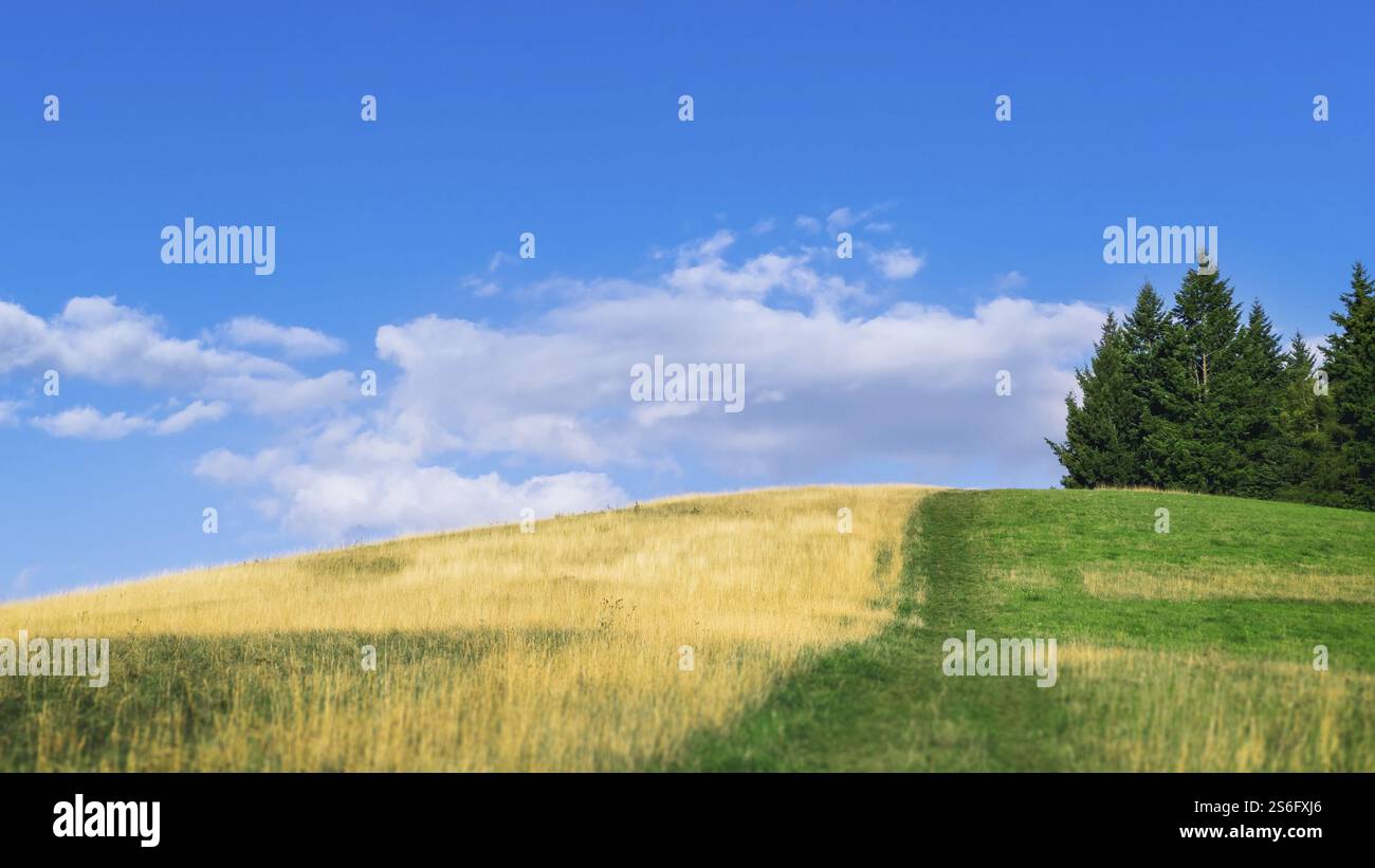 Un'immagine di una calda collina estiva Foto Stock