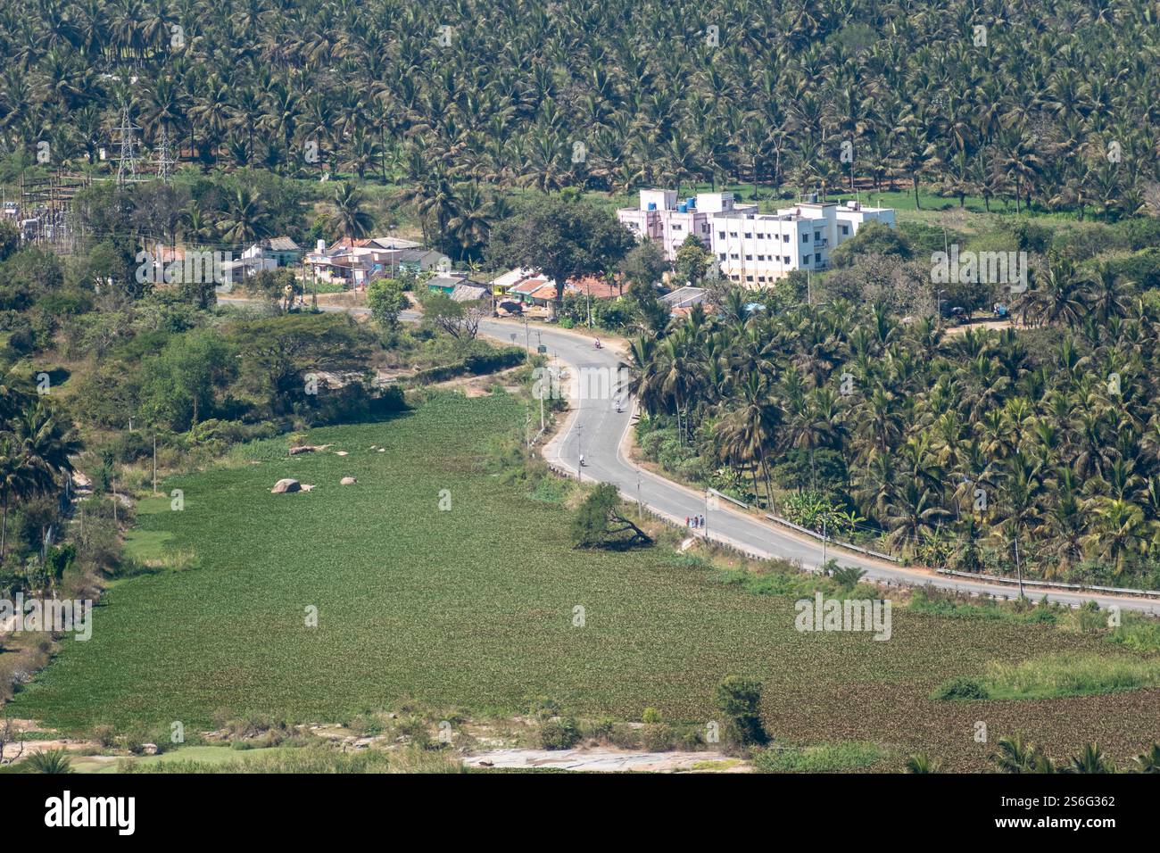 Vista aerea di una strada che attraversa la verde campagna intorno al villaggio di Shravanabelagola nel Karnataka. Foto Stock