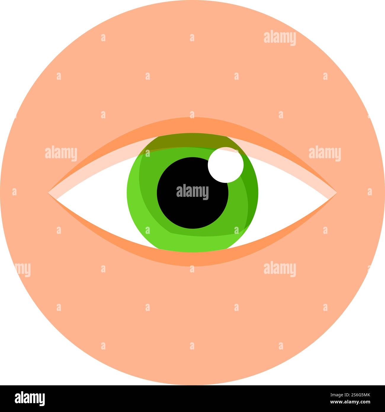Icona dell'organo oculare. Cartoon dell'icona vettoriale dell'organo dell'occhio per il web design isolato su sfondo bianco. Icona organo oculare, stile cartone animato Illustrazione Vettoriale