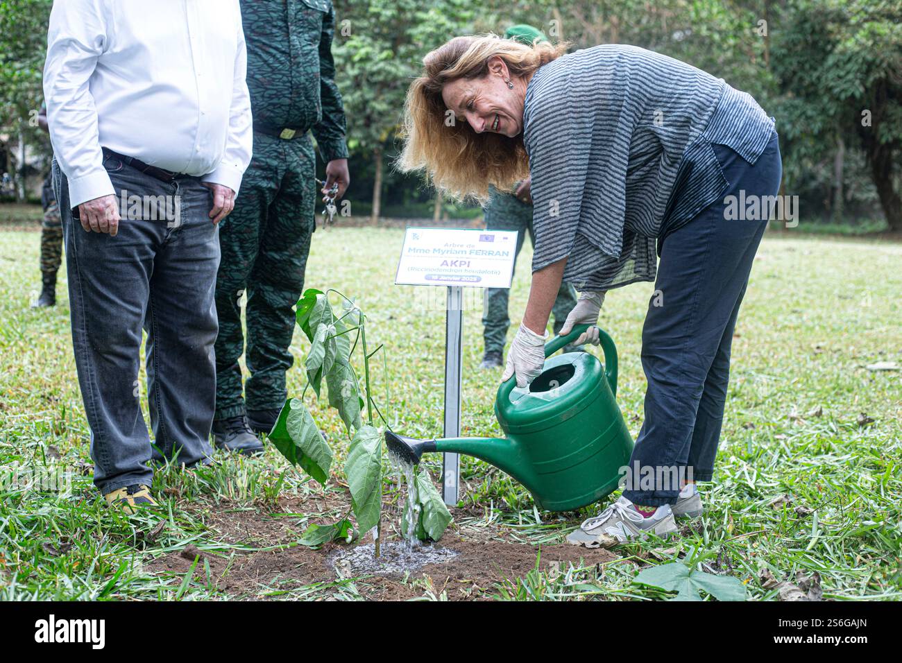 L'Unione europea ha accettato di finanziare gli sforzi della Costa d'Avorio per ripristinare le sue foreste, gravemente danneggiate dall'allevamento del cacao. Foto Stock