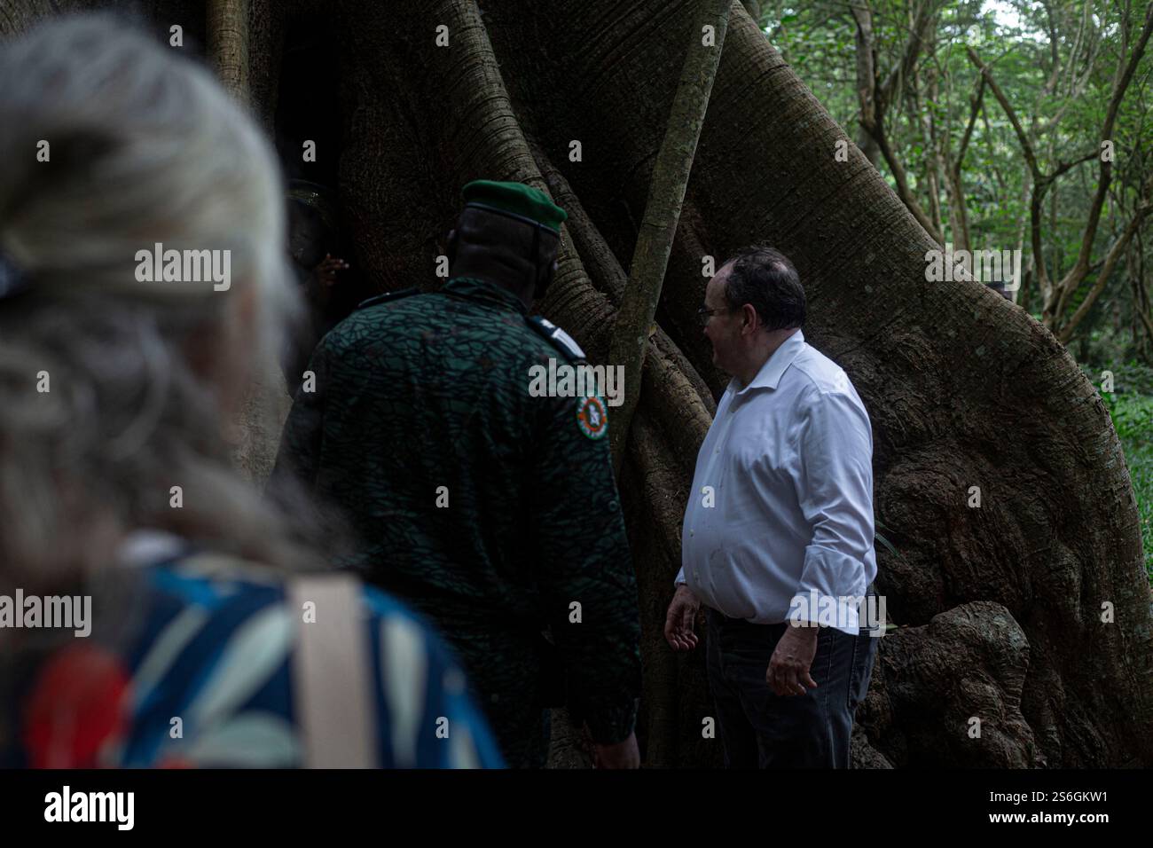 L'Unione europea ha accettato di finanziare gli sforzi della Costa d'Avorio per ripristinare le sue foreste, gravemente danneggiate dall'allevamento del cacao. Foto Stock
