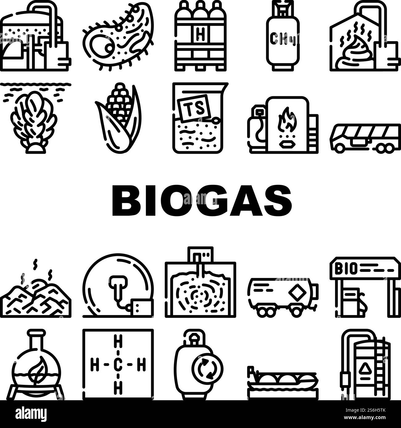 Icone di raccolta carburante per biogas Energy Set Vector. Stazione di rifornimento di biogas e cilindro, mais e alghe ingredienti naturali di gas, metano e idrogeno illustrazioni di contorno nero. Icone di raccolta carburante per biogas Energy Set Vector Illustrazione Vettoriale