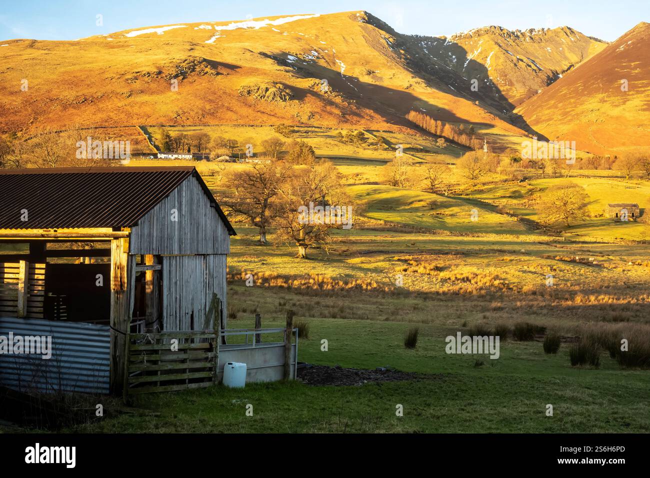 Pascolo grezzo sotto la maestosa montagna di Lakeland 'Blencathra', Threlkeld, Westmorland & Furness, Cumbria, Regno Unito Foto Stock