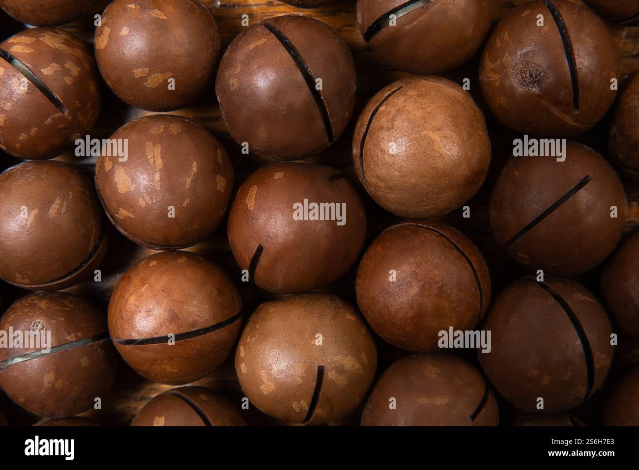 Grandi noci di macadamia sono raccolte da vicino, evidenziando le loro gusci duri e il ricco colore marrone, appoggiate su uno sfondo di legno ruvido. Foto Stock