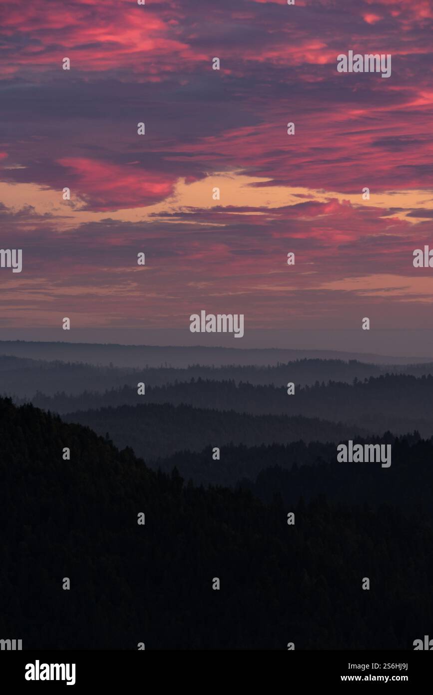Tramonto sulle suggestive colline costeggiate da sequoie Foto Stock