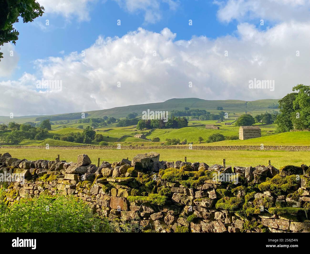 Sole estivo sulle pareti a secco e sui fienili della campagna intorno a Hawes, Wensleydale, North Yorkshire, Regno Unito - Immagine stock catturata con smartphone