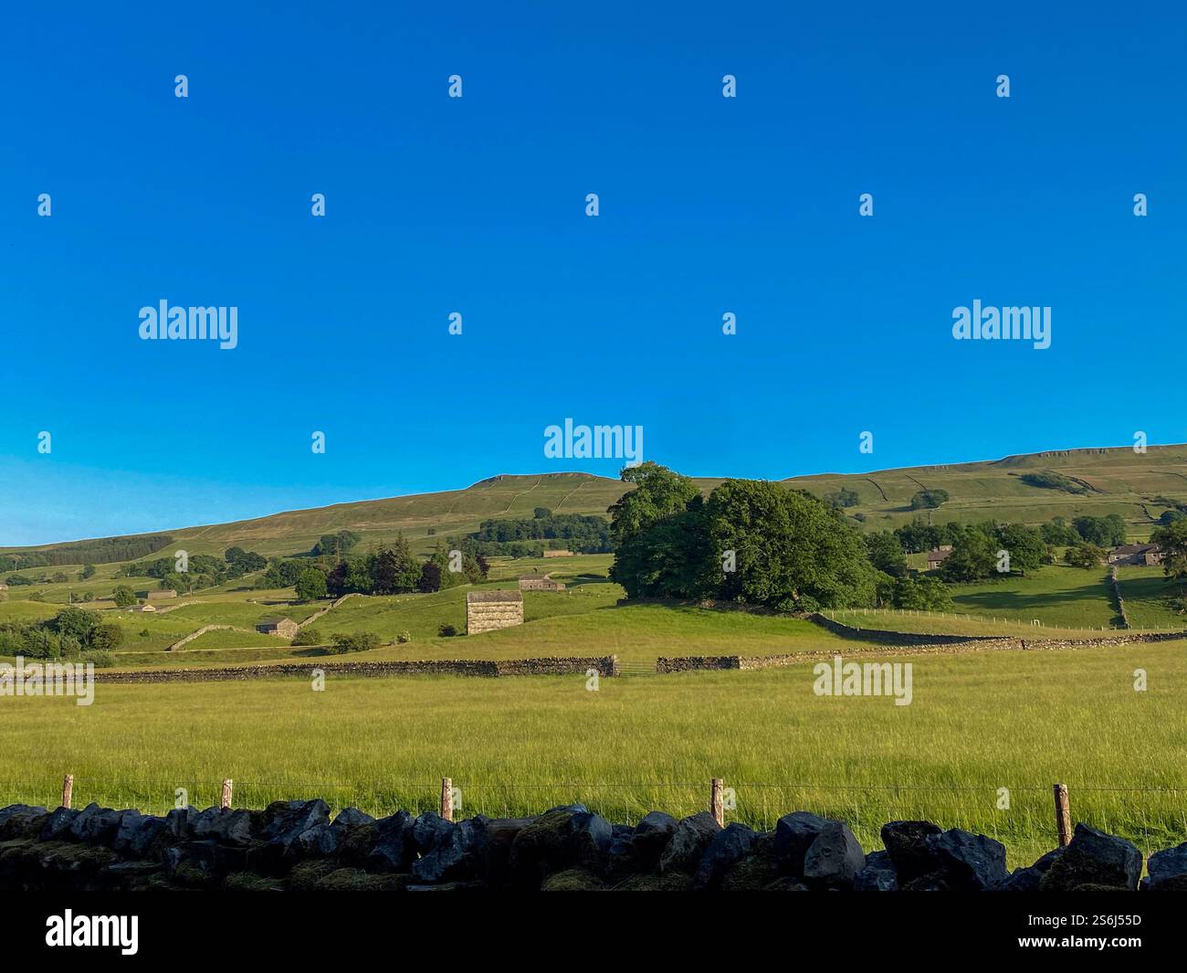 Sole estivo sulle pareti a secco e sui fienili della campagna intorno a Hawes, Wensleydale, North Yorkshire, Regno Unito - Immagine stock catturata con smartphone