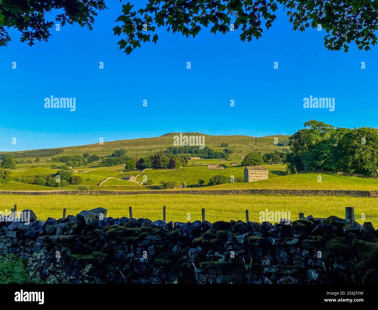 Sole estivo sulle pareti a secco e sui fienili della campagna intorno a Hawes, Wensleydale, North Yorkshire, Regno Unito - Immagine stock catturata con smartphone